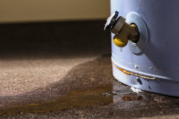 Best Fire Damage Restoration  in Annandale, VA