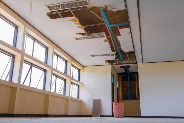 Best Water damage cleanup near me  in Annandale, VA