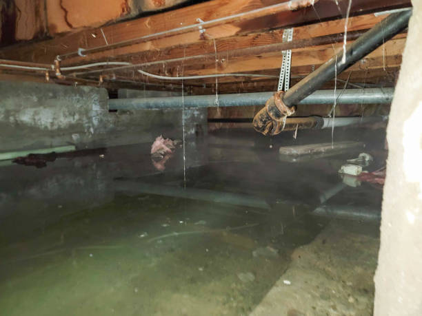  Annandale, VA Water damage restoration Pros