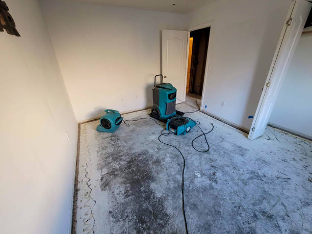 Best Mold removal after water damage  in Annandale, VA