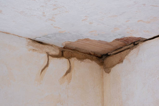 Best Flood damage cleanup  in Annandale, VA