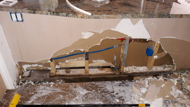 Best Carpet water damage restoration  in Annandale, VA