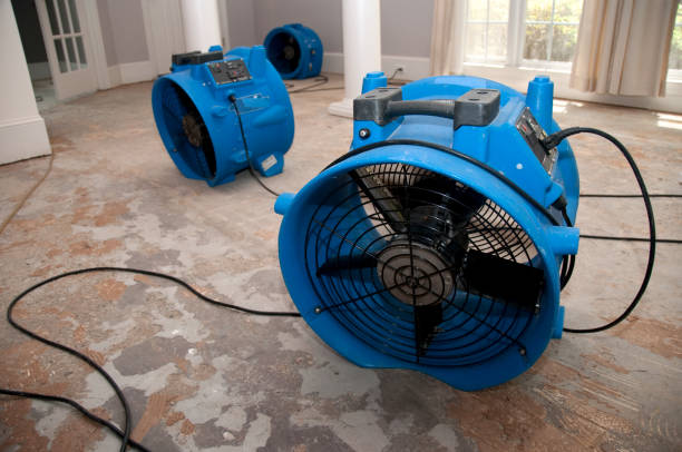 Best Local water damage restoration  in Annandale, VA